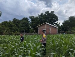 WhatsApp Image 2024-12-30 at 19.37.53