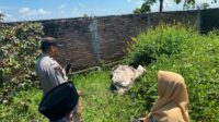 Berkat Informasi Warga, Polsek Kediri Temukan Sepeda Motor Diduga Hasil Curian di Tanah Kosong (2) Berkat Informasi Warga, Polsek Kediri Temukan Sepeda Motor Diduga Hasil Curian di Tanah Kosong