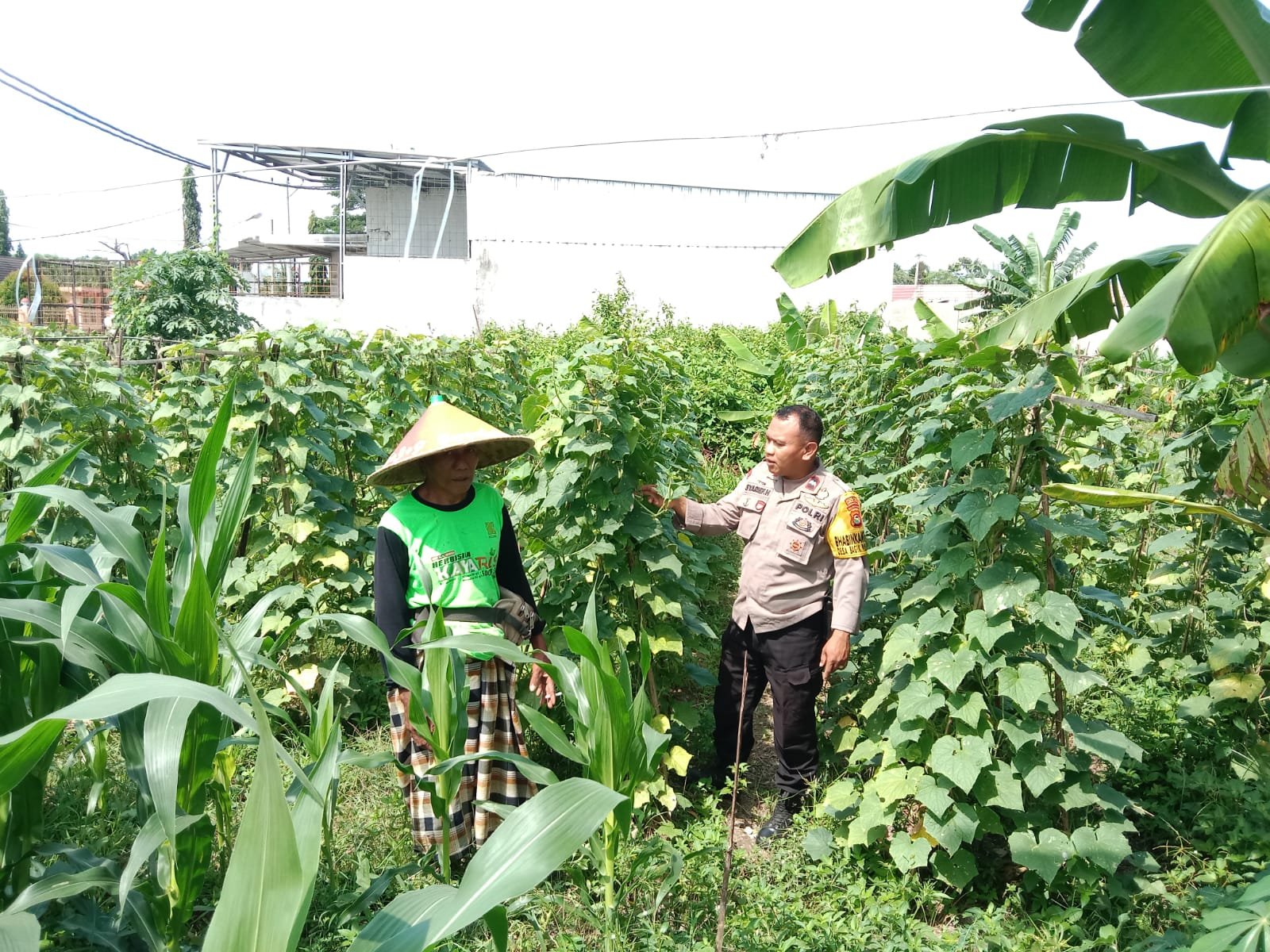 Polsek Labuapi Dukung Ketahanan Pangan, Bhabinkamtibmas Ajak Warga Manfaatkan Lahan Kosong