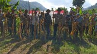 Panen Raya Jagung Serentak di Batulayar, Langkah Nyata Wujudkan Swasembada Pangan 2025 (5)
