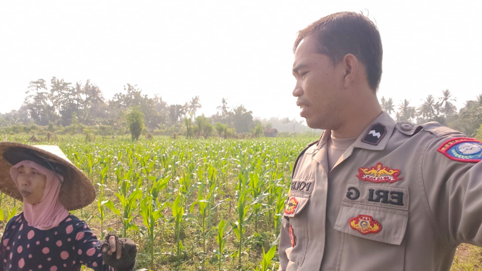 Program Ketahanan Pangan Diperkuat Lewat Kunjungan Polsek Lembar ke Petani