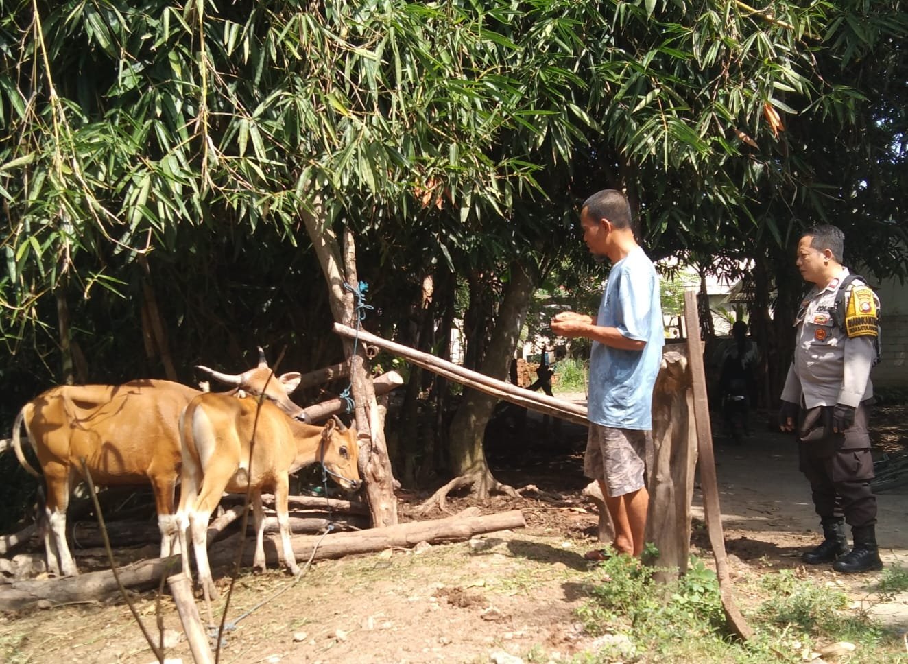 Ketahanan Pangan Berbasis Komunitas di Dusun Melase