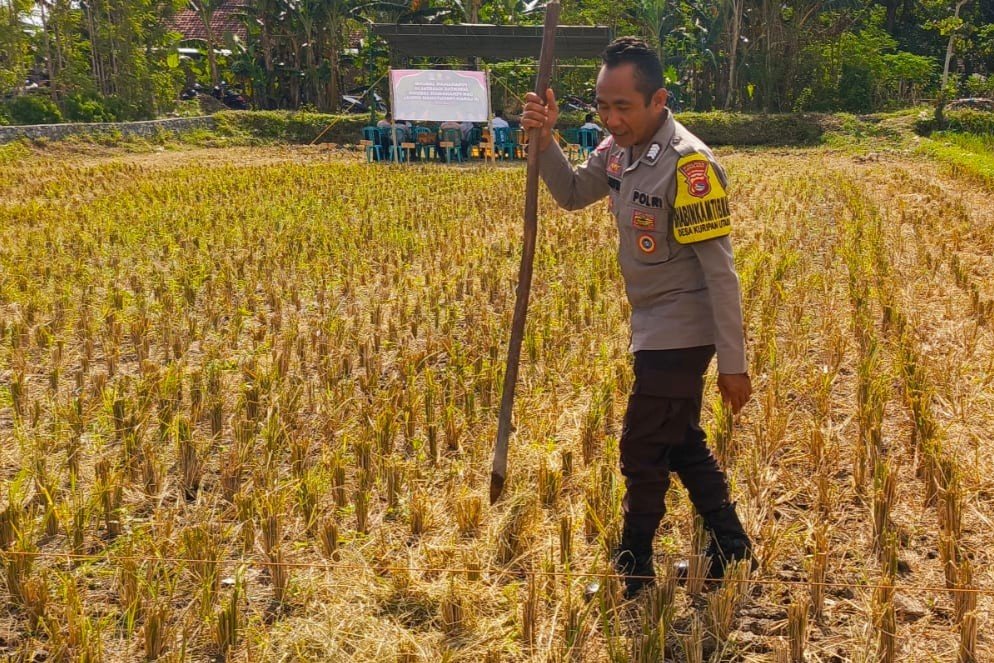 Kunjungan Bhabinkamtibmas Kuripan Utara, Ajak Petani Dukung Ketahanan Pangan Nasional
