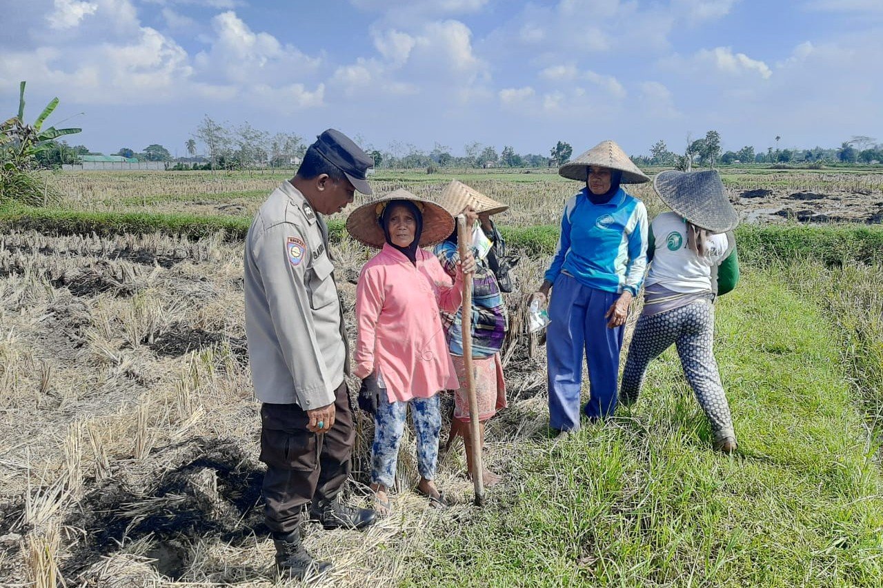 Polri Dukung Swasembada Pangan, Bhabinkamtibmas Montong Are Gandeng Petani