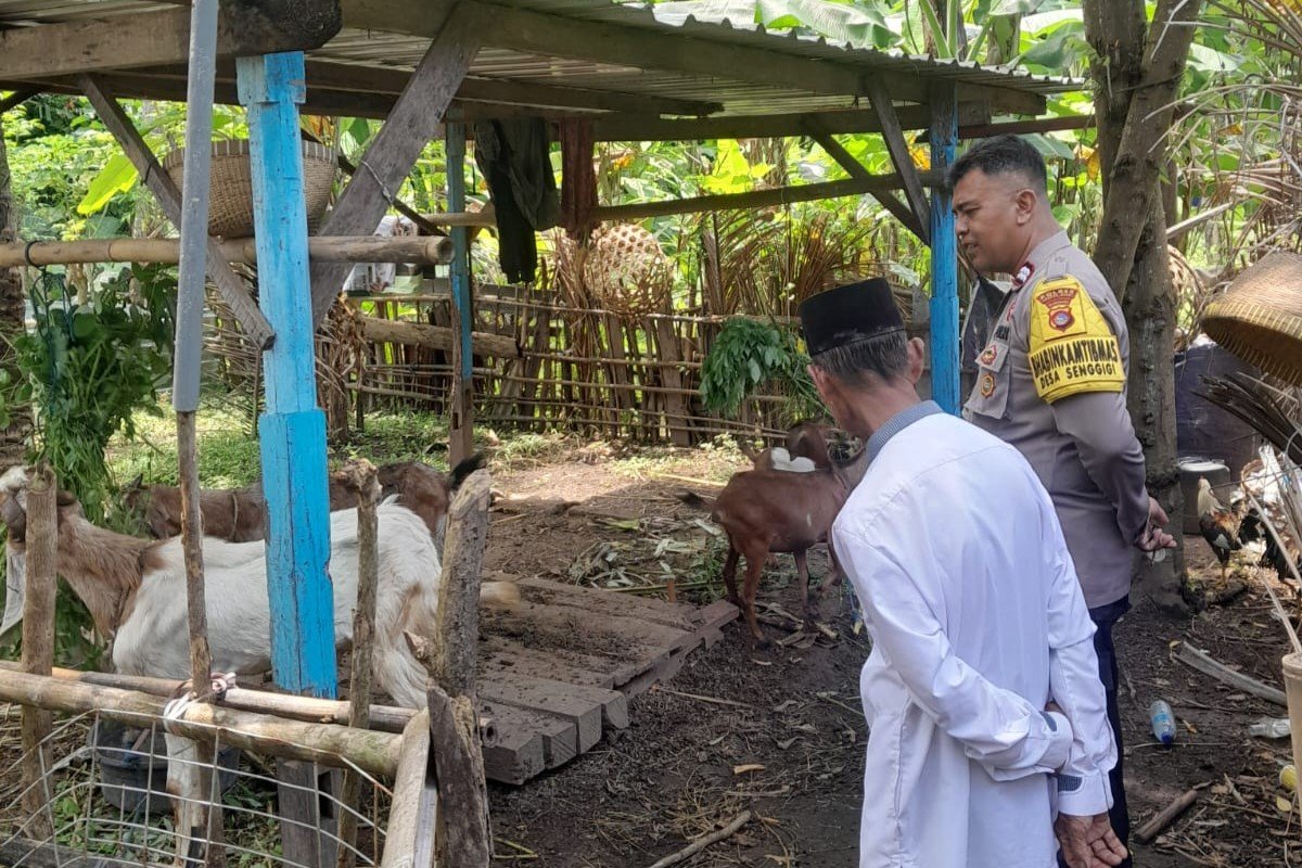 Polsek Batulayar Dorong Ketahanan Pangan Warga Senggigi melalui Edukasi Pertanian