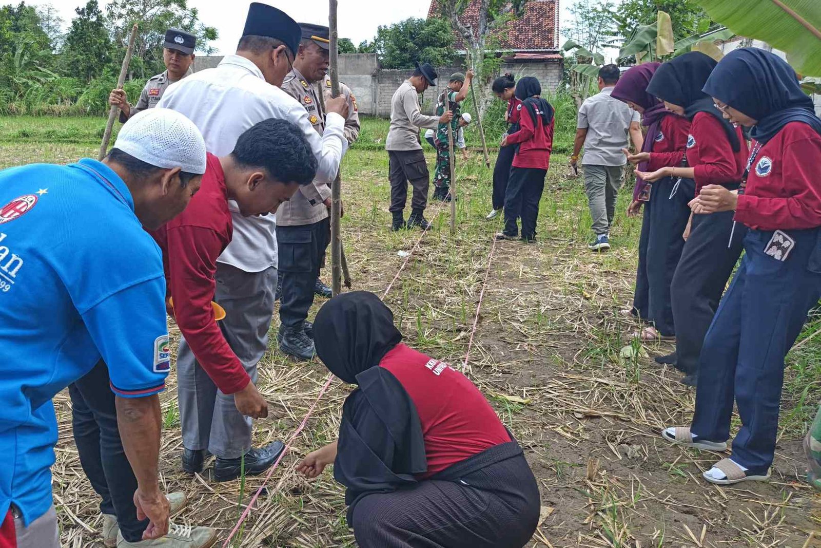 Sinergi Polsek Batulayar dan Warga Sandik Tanam Jagung Dukung Ketahanan Pangan