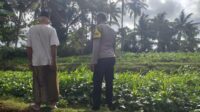 WhatsApp Image 2025-07-02 at 16.46.38 Polisi Ajak Warga Mareje Tanam Pangan Sendiri