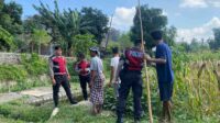 Polisi Lakukan Patroli Tanam Jagung di Dusun Kelebut untuk Dukung Swasembada Pangan (1) Polisi Lakukan Patroli Tanam Jagung di Dusun Kelebut untuk Dukung Swasembada Pangan