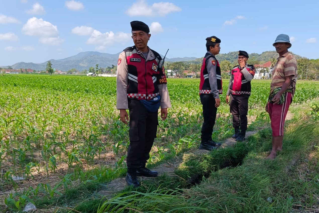 Polres Lombok Barat Pantau Lahan Jagung di Desa Tempos untuk Dukung Swasembada Pangan