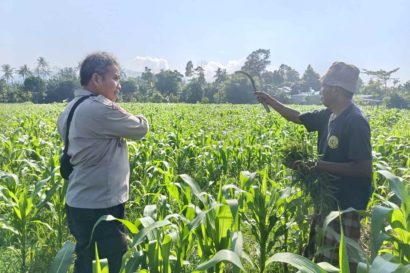 Polsek Batulayar Ajak Masyarakat Perempung Maksimalkan Lahan untuk Ketahanan Pangan