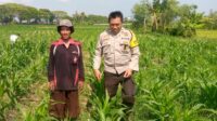 Sinergi Polisi dan Petani di Desa Jagaraga untuk Wujudkan Kemandirian Pangan