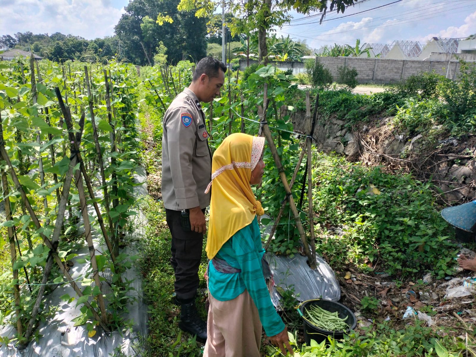 Ketahanan Pangan Diperkuat, Bhabinkamtibmas Desa Labuapi Ajak Warga Produktif