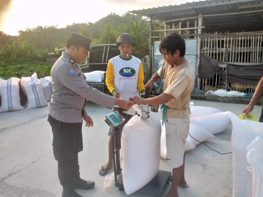 Polsek Kuripan Dorong Ketahanan Pangan Melalui Pendampingan Petani Jagung di Gerung