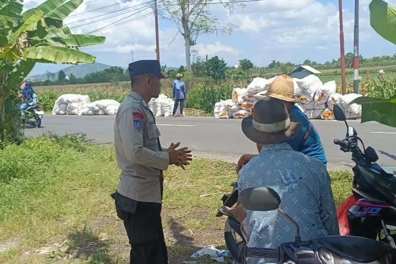 Sinergi Polisi dan Petani di Lombok Barat, Hasilkan Panen Jagung Melimpah