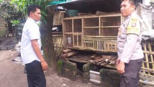 Motivasi Bhabinkamtibmas, Warga Nekat Bangun Kandang Ayam di Pekarangan