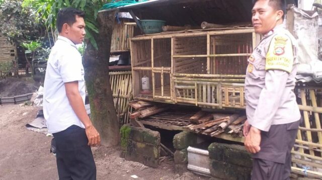 Motivasi Bhabinkamtibmas, Warga Nekat Bangun Kandang Ayam di Pekarangan