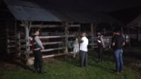 WhatsApp Image 2025-11-06 at 02.55.29 Apresiasi Warga Mengalir, Polisi Hadir di Tengah Sunyi Dini Hari Amankan Hewan Ternak